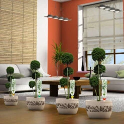 Cône D'Arrosage D'absence : Jusqu'à 25 Cm 7 Cl - S, Orange - Pack 3+1 7 Cône D'Arrosage D'absence : Jusqu'à 25 Cm 7 Cl - S, Orange - Pack 3+1 -Ryobi Jardin Boutique 177127 008