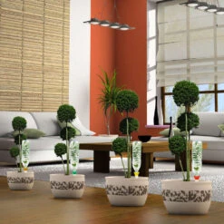 Cône D'Arrosage D'absence : 45 à 60 Cm 30 Cl : L, Jaune - Pack 3+1 -Ryobi Jardin Boutique 177135 007