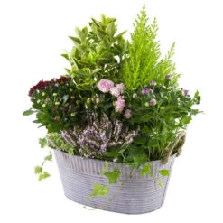 Composition D’Automne : Bassine Zinc, Ø 30 cm - - Coloris Variables -Ryobi Jardin Boutique 199534 011