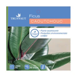 Caoutchouc : 3 Pieds Pot -Ryobi Jardin Boutique 28705 001