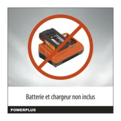 Tronçonneuse A Batterie 40v Dual Power Powdpg7576 - Guide De 350 Mm, Moteur Brusless - Livrée Sans Batterie Ni Chargeur -Ryobi Jardin Boutique 2d69330c56d8cd5f