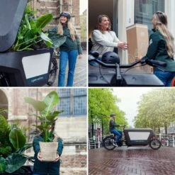 Hedera Lierra Tombant - H70cm, ø24cm - Plante D'intérieur Tombante -Ryobi Jardin Boutique 364fae982ce3b9e4