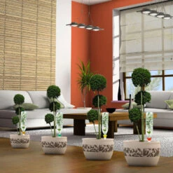 Cône D'Arrosage D'absence : Jardinière Violet - Pack 3+1 (gratuit) -Ryobi Jardin Boutique 366821 006