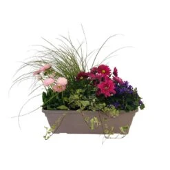 Jardinière De Bisannuelles Et Vivaces 40 Cm - Coloris Variables 7 Jardinière De Bisannuelles Et Vivaces 40 Cm - Coloris Variables -Ryobi Jardin Boutique 417571 004
