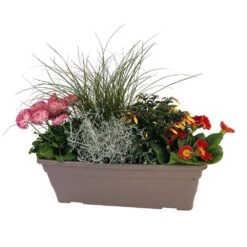 Jardinière De Bisannuelles Et Vivaces 40 Cm - Coloris Variables 8 Jardinière De Bisannuelles Et Vivaces 40 Cm - Coloris Variables -Ryobi Jardin Boutique 417571 005