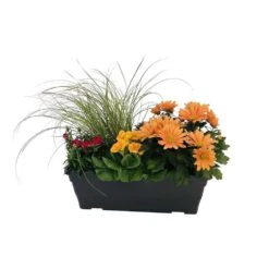 Jardinière De Bisannuelles Et Vivaces 40 Cm - Coloris Variables 9 Jardinière De Bisannuelles Et Vivaces 40 Cm - Coloris Variables -Ryobi Jardin Boutique 417571 007