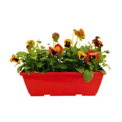 Pensée : Jardinière Colorée 40 Cm - Coloris Variables -Ryobi Jardin Boutique 431665 007