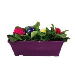 Primevères En Jardinière De 40cm Couleur - Coloris Variables -Ryobi Jardin Boutique 440466 010