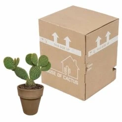 Opuntia Microdasys Et Son Cache-pot Marron - H40cm, ø17cm - Plante D'intérieur -Ryobi Jardin Boutique 48d55715481eec9b