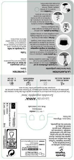 Lavandula Angustifolia Anna : C. 3L 5 Lavandula Angustifolia Anna : C. 3L -Ryobi Jardin Boutique 510699 005