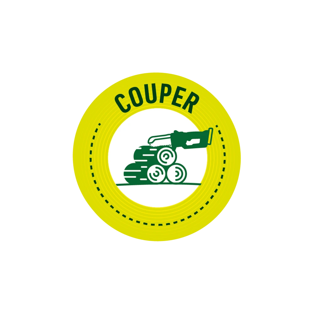 Batterie 20v - Pour Tronçonneuse électrique 2en1 4 Batterie 20v - Pour Tronçonneuse électrique 2en1 – Image 4