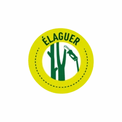 Pack Tronçonneuse Sans Fil + Batterie De Rechange-vert -Ryobi Jardin Boutique 6363b0dbb5b924.38775051