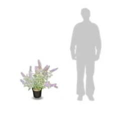 Arbre Aux Papillons Davidii Lochinch/pot De 7,5l - 60/80 Cm 5 Arbre Aux Papillons Davidii Lochinch/pot De 7,5l - 60/80 Cm -Ryobi Jardin Boutique 63f4b609315102.48815059