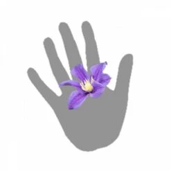 Clématite Integrifolia Arabella/pot De 3l - Echelle Bambou 60/120 Cm -Ryobi Jardin Boutique 63f4cf562b4c53.53611809