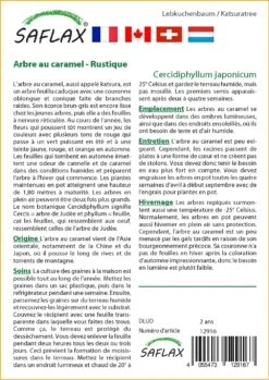 Kit De Culture - Arbre Au Caramel - 200 Graines - Cercidiphyllum Japonicum -Ryobi Jardin Boutique 64064132c9d4c4.04855019