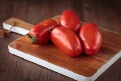 Kit De Culture - Bio - Tomate - San Marzano - 15 Graines - Solanum Lycopersicum -Ryobi Jardin Boutique 6406416b4f7255.16851216