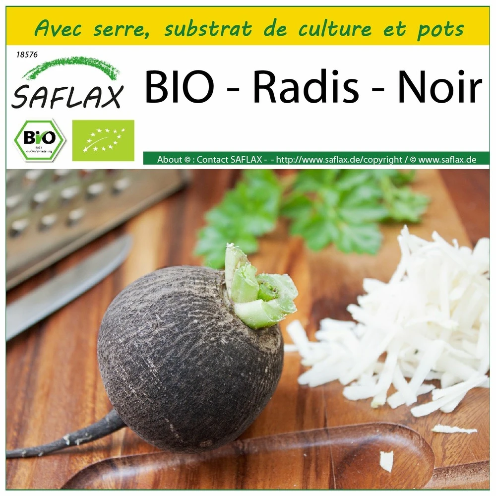 Kit De Culture - Bio - Radis - Noir - 100 Graines - Raphanus Sativus 1 Kit De Culture - Bio - Radis - Noir - 100 Graines - Raphanus Sativus