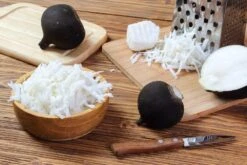 Kit De Culture - Bio - Radis - Noir - 100 Graines - Raphanus Sativus 10 Kit De Culture - Bio - Radis - Noir - 100 Graines - Raphanus Sativus -Ryobi Jardin Boutique 64064174091ed1.10609655