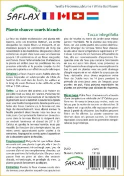 Kit De Culture - Plante Chauve-souris Blanche - 10 Graines - Tacca Integrifolia -Ryobi Jardin Boutique 6406417d60c3a0.37345696