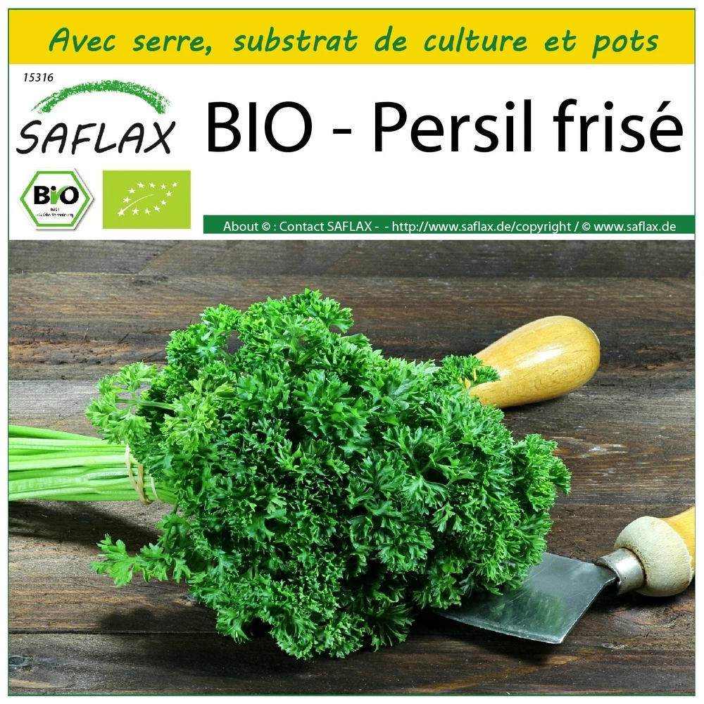 Kit De Culture - Bio - Persil Frisé - 800 Graines - Petroselinum Crispum 1 Kit De Culture - Bio - Persil Frisé - 800 Graines - Petroselinum Crispum