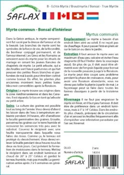 Kit De Culture - Myrte Commun - 30 Graines - Myrtus Communis -Ryobi Jardin Boutique 640641b38ab843.99066445