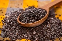 Kit De Culture - Bio - Sauge - 60 Graines - Salvia Officinalis -Ryobi Jardin Boutique 640641bf510530.24887861