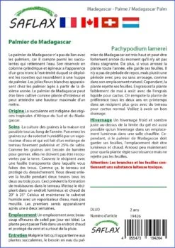 Kit De Culture - Palmier De Madagascar - 10 Graines - Pachypodium Lamerei 9 Kit De Culture - Palmier De Madagascar - 10 Graines - Pachypodium Lamerei -Ryobi Jardin Boutique 640641c714a995.97409461