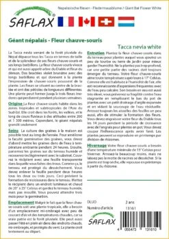 Kit De Culture - Géant Népalais - Fleur Chauve-souris - 10 Graines - Tacca Nevia White -Ryobi Jardin Boutique 640641cb3c2931.45314096