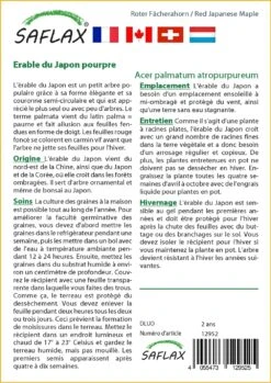 Kit De Culture - Erable Du Japon Pourpre - 20 Graines - Acer Palmatum Atropurpureum -Ryobi Jardin Boutique 640641d837b750.91534800