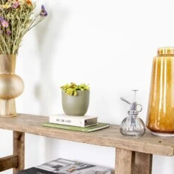 Dionaea Muscipula – Plante Carnivore – Peu D'entretien – ⌀12 Cm – ↕10-15 Cm 7 Dionaea Muscipula – Plante Carnivore – Peu D'entretien – ⌀12 Cm – ↕10-15 Cm -Ryobi Jardin Boutique 640b20a5e78e48.00125916