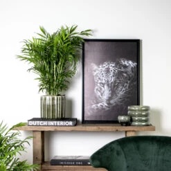 Chamaedorea Elegans - Palmier Nain Mexicain - Purificateur D'air – ⌀17 Cm - ↕50-60 Cm -Ryobi Jardin Boutique 640b21045e72a5.33117055