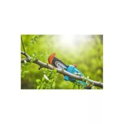 Gardena Elagueuse Sur Perche Tcs 20/18v P4a Avec Batterie -Ryobi Jardin Boutique 641da6793705b1.97358156