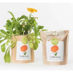 Sac Papier Prêt à Cultiver Calendula -Ryobi Jardin Boutique 6420e04cca6d08.48418237