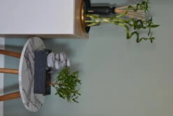 Set Bonsaï Et Cascade-pierres - Support L.30cm- H.25-30cm -Ryobi Jardin Boutique 6422e176c936d7.62659362