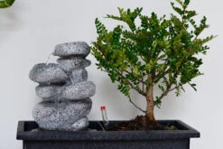 Set Bonsaï Et Cascade-pierres - Support L.30cm- H.25-30cm -Ryobi Jardin Boutique 6422e176e22588.29286272