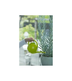 Nature Arrosoir - En Polyéthylene - Light Vert - 1,8 L -Ryobi Jardin Boutique 645d599955cc69.77932314