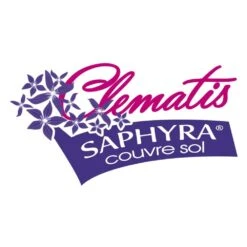 Clématite Saphyra® Violetta "m32-10'/pot De 1,5l - Tuteur Bambou 30/60 Cm -Ryobi Jardin Boutique 645d8588a2e9e0.30160117