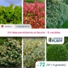 Kit Haie Persistante Et Fleurie 6 Variétés – Lot De 72 Plants En Pot De 1 L