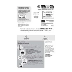 Géranium Lierre Double 'Marcada® Pink' Label Rouge : 10 Plants -Ryobi Jardin Boutique 697177 006