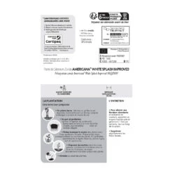 Géranium Zonale Americana® White Splash Improved'Label Rouge:10 Plants 11 Géranium Zonale Americana® White Splash Improved'Label Rouge:10 Plants -Ryobi Jardin Boutique 697188 1761607