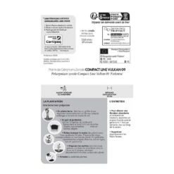 Géranium Zonale 'Compact Line Vulkan 09' Label Rouge : 10 Plants -Ryobi Jardin Boutique 697192 005