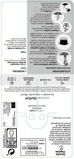 Lavande X Intermedia Dutch Lavander Pot 3L 6 Lavande X Intermedia Dutch Lavander Pot 3L -Ryobi Jardin Boutique 739237 002