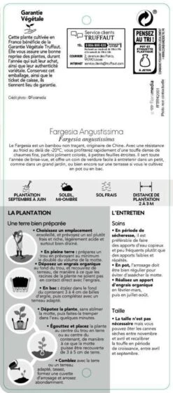 Bambou Non-traçant Fargesia Angustissima: Pot De 5 Litres -Ryobi Jardin Boutique 825296 007