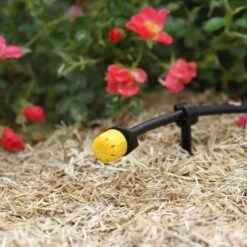 100 Goutteurs Reglables 0-40 L/h Pour Arrosage Goutte à Goutte 6 100 Goutteurs Reglables 0-40 L/h Pour Arrosage Goutte à Goutte -Ryobi Jardin Boutique 955363 006