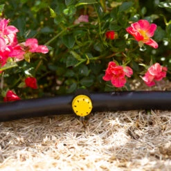 100 Goutteurs Reglables 0-40 L/h Pour Arrosage Goutte à Goutte 7 100 Goutteurs Reglables 0-40 L/h Pour Arrosage Goutte à Goutte -Ryobi Jardin Boutique 955363 1713454