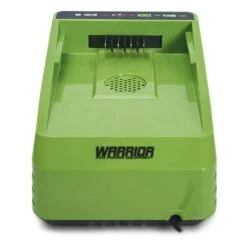 Chargeur De Batterie Lithium 60v Charge Rapide Warrior 8 Chargeur De Batterie Lithium 60v Charge Rapide Warrior -Ryobi Jardin Boutique c448da59ab73fce9