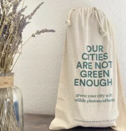 Kit Prêt à Planter - 3 Feuilles -Ryobi Jardin Boutique ea572adcd263b51f